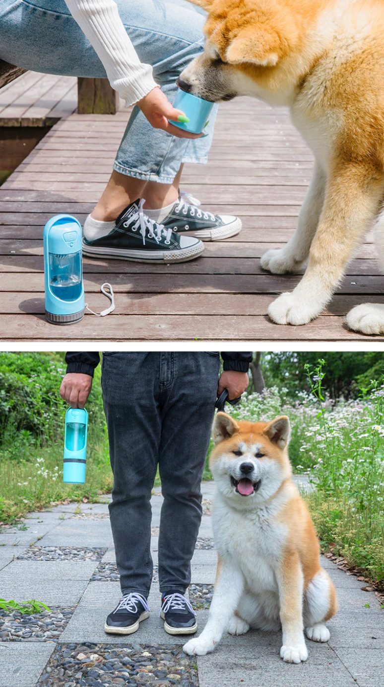 Pet Drinking Water Dispenser